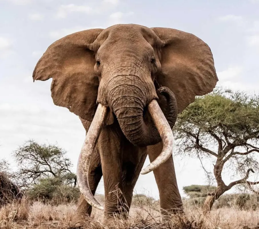 Serengeti National Park