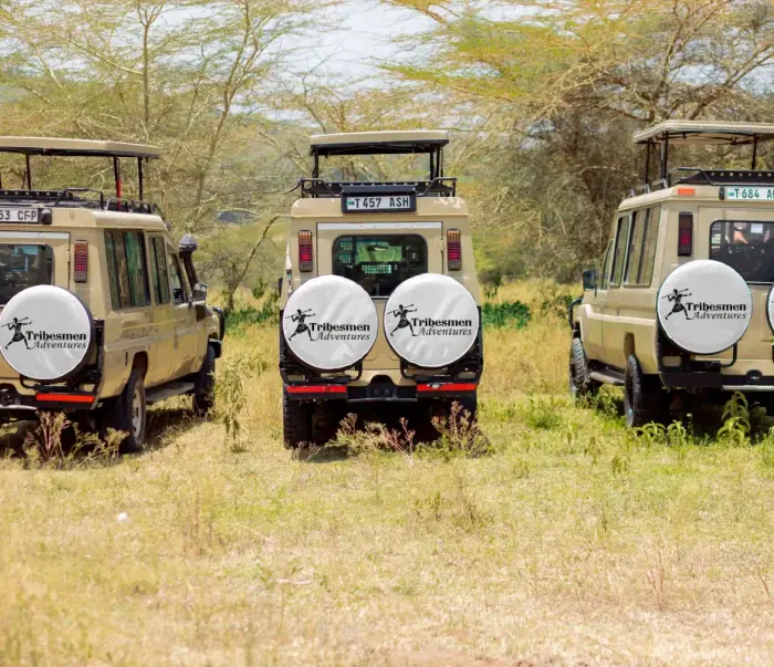 Safari Vehicle