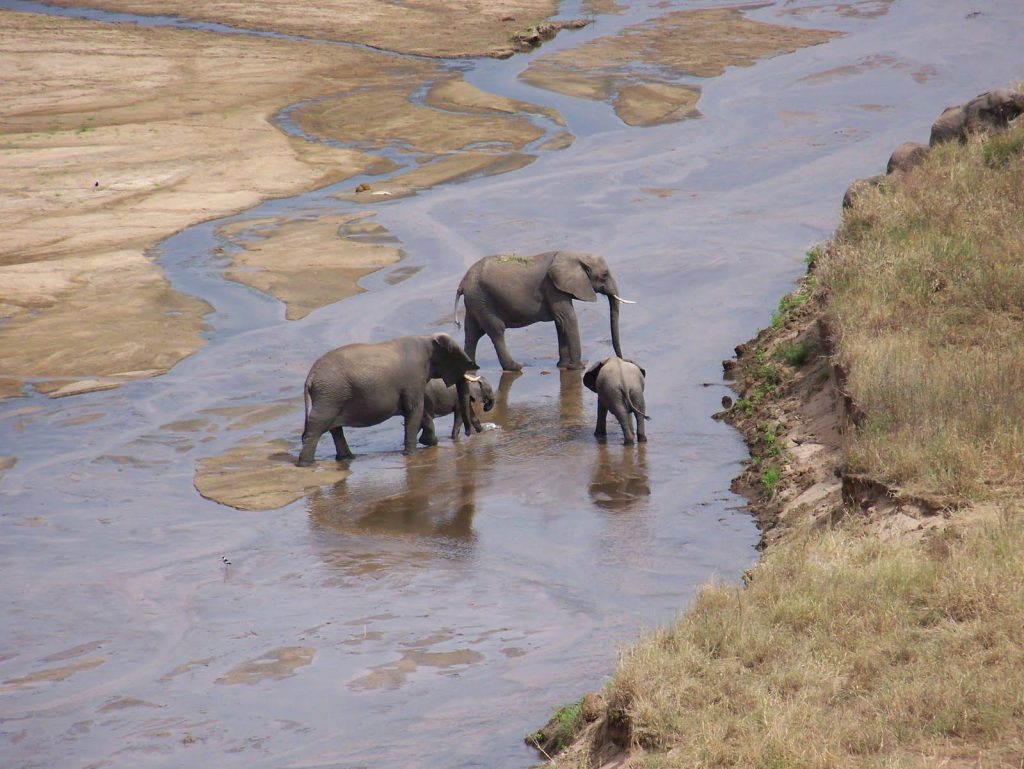 2 Day Safari in Tarangire & Ngorongoro Crater