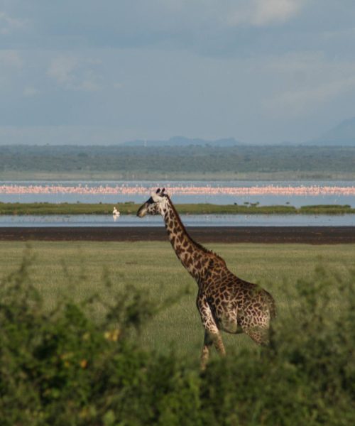 10-Day Tanzania Safari & Zanzibar Holiday