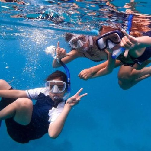 Snorkeling-at-Mnemba-Atoll-With-Nungwi-Day-Trip-Cultural-Experience-636x426