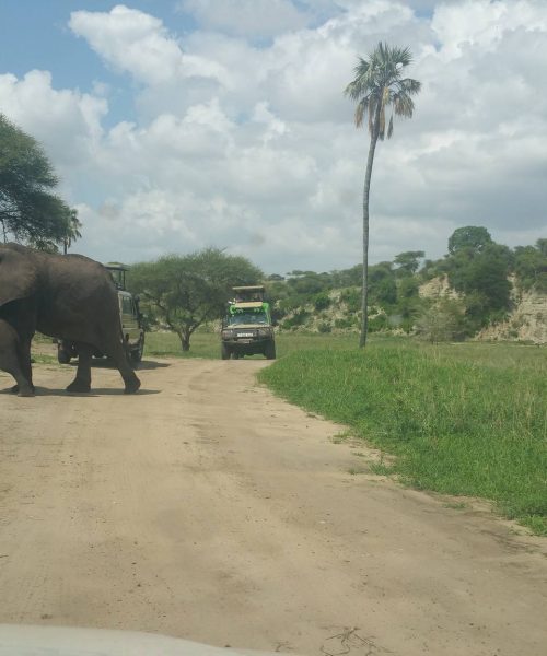 12-Day Tanzania Safari & Zanzibar Holiday